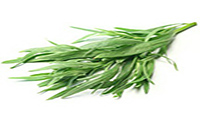 Don't Miss Tarragon!